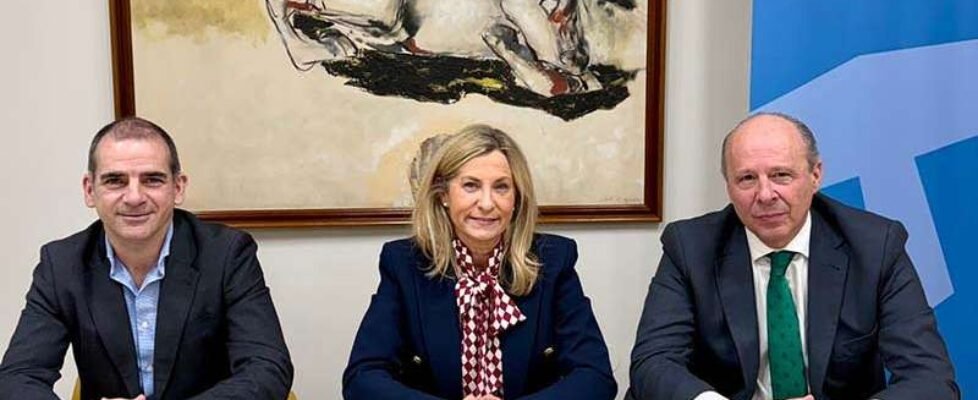 Fiatc - Colegio Madrid