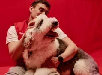 Generali 'Pausa en Fallas' seguro mascotas