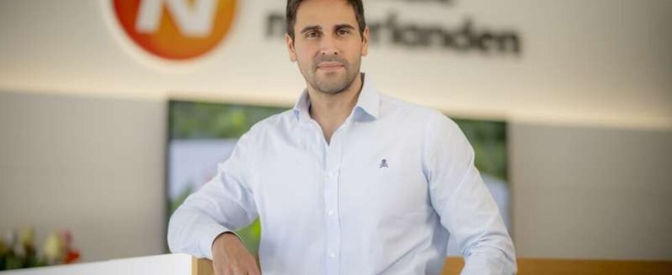 Juan Perteguer, subdirector general y Chief Marketing Officer de Nationale-Nederlanden