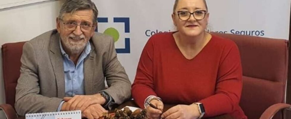 colegio pontevedra y ASEFA 2026