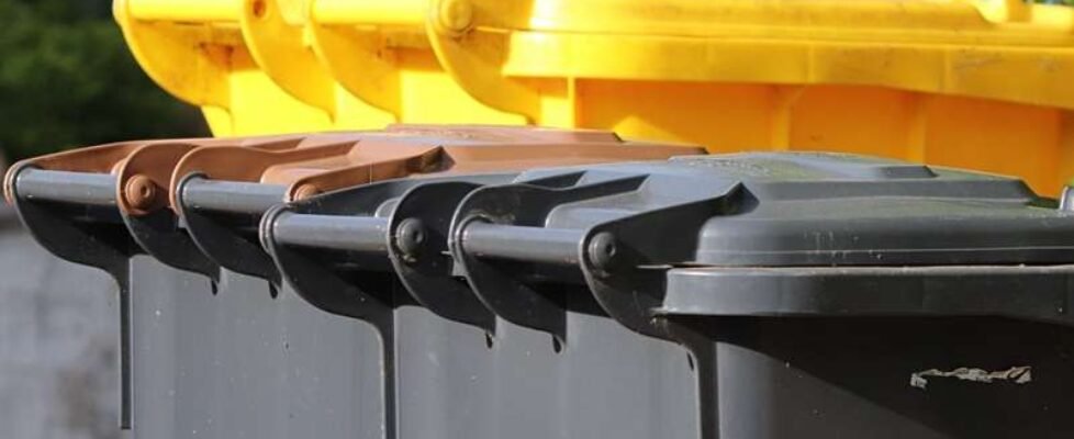 cubos basura tasa - gratuita