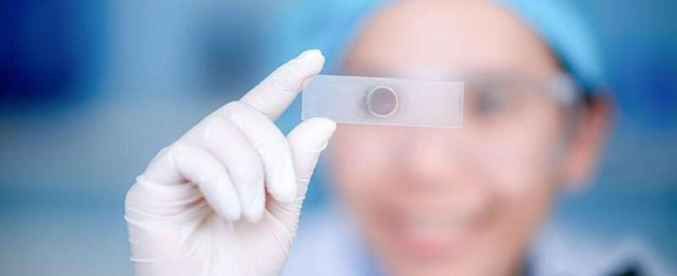 investigacion ensayo medicina - gratuita