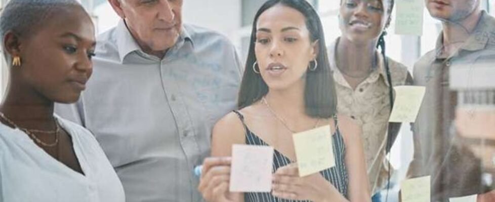 iris global proyecto iniciativa plan estrategia inclusion diversidad